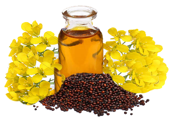 Oil Seeds Products | Products | Victoria Foods